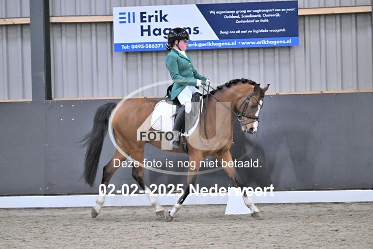250202 1703
