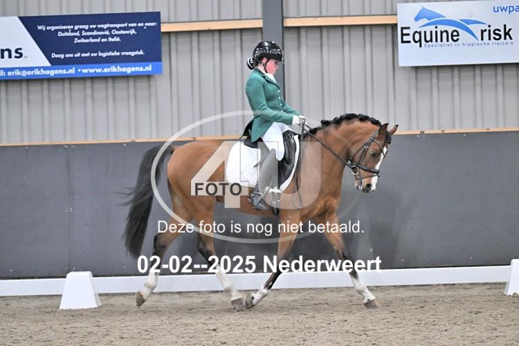 250202 1704
