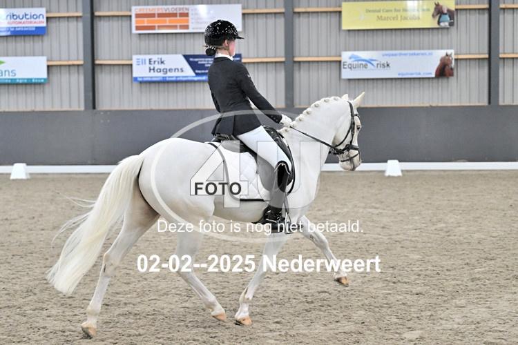 250202 1816