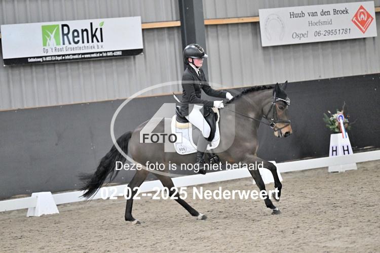 250202 1856