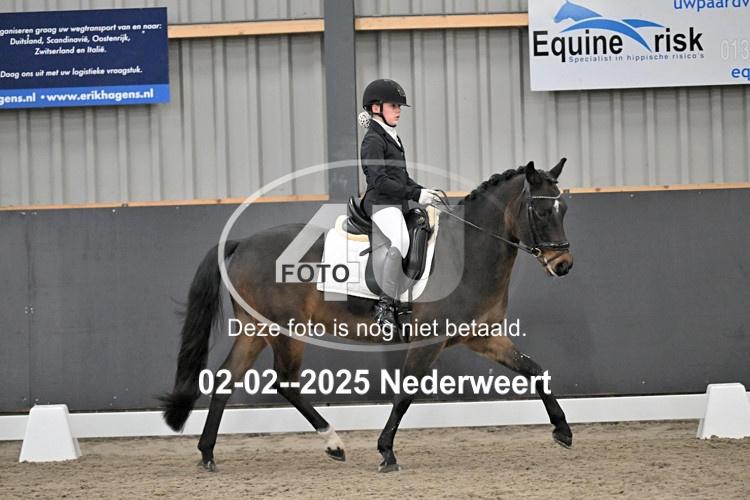 250202 1951