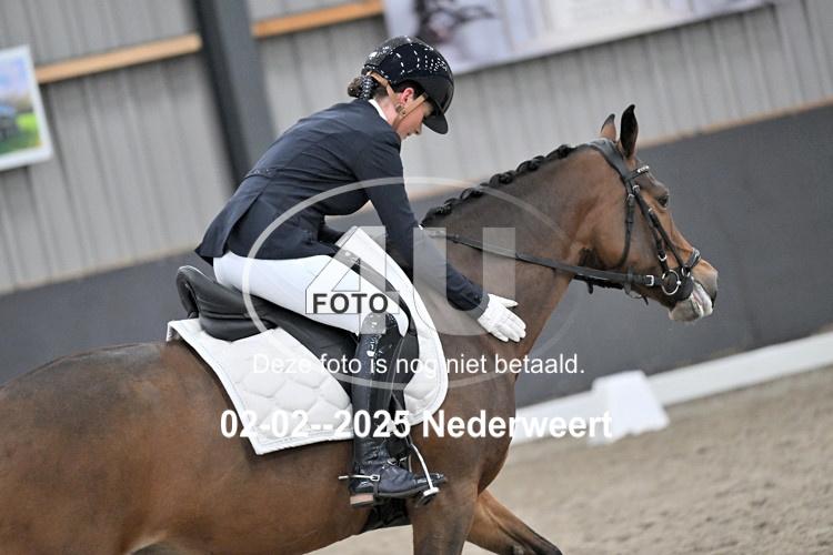 250202 2011