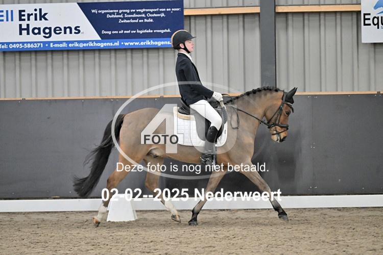 250202 2021