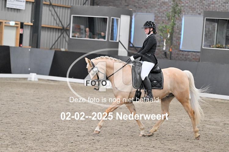 250202 2066