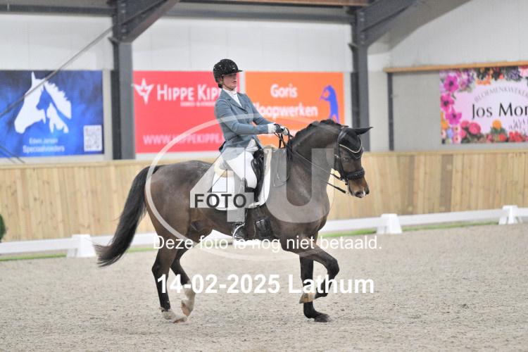 250214 0334