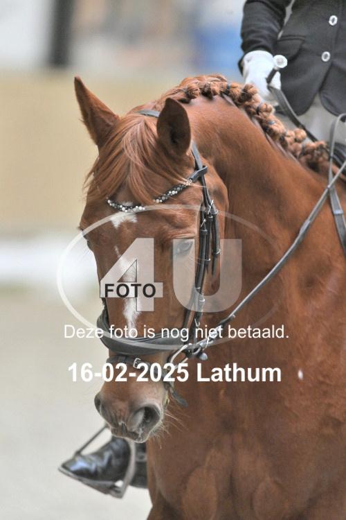 250216 1133