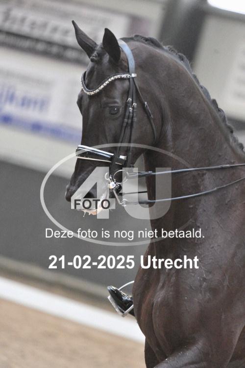 250221 0247