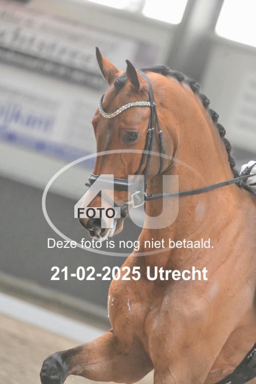 250221 0494