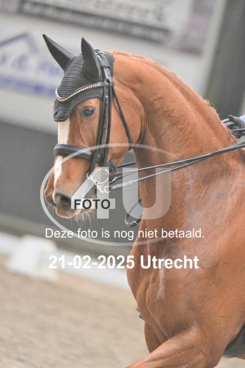 250221 0543