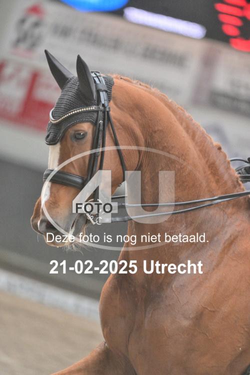 250221 0561