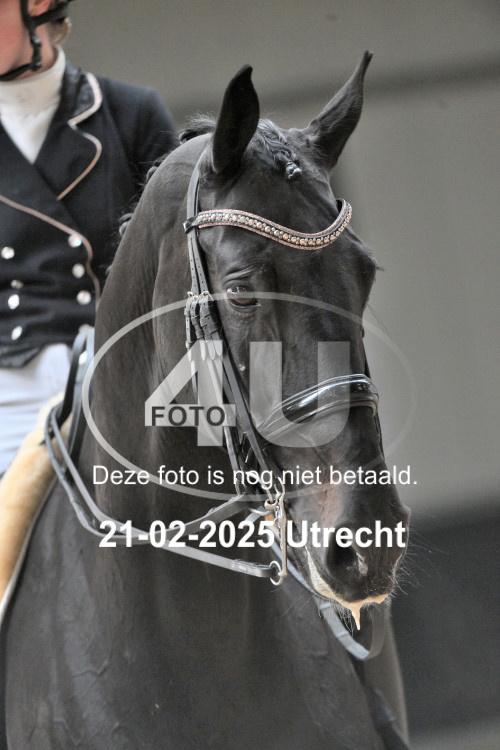 250221 0694
