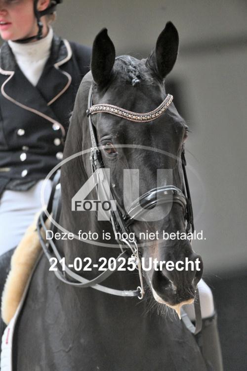 250221 0698