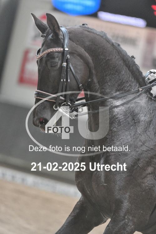 250221 1246