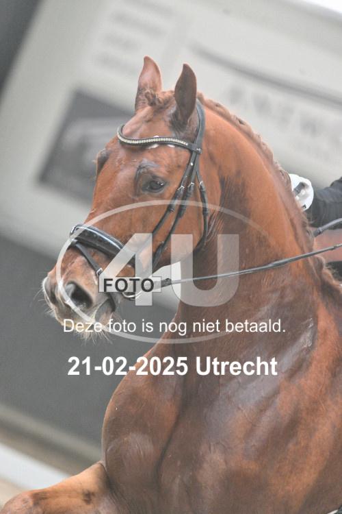 250221 1285