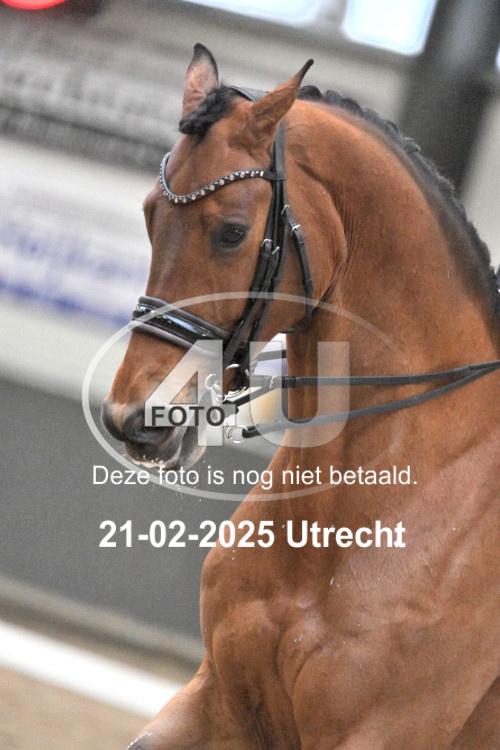 250221 2274