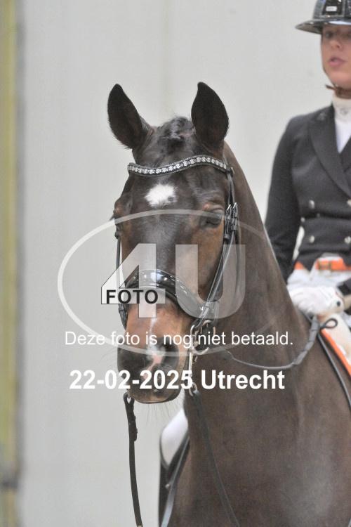 250222 0521