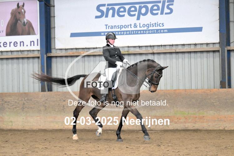 250302 0296