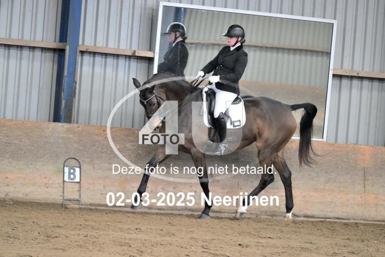 250302 0310