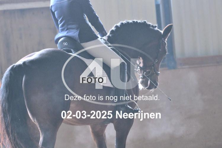 250302 0446