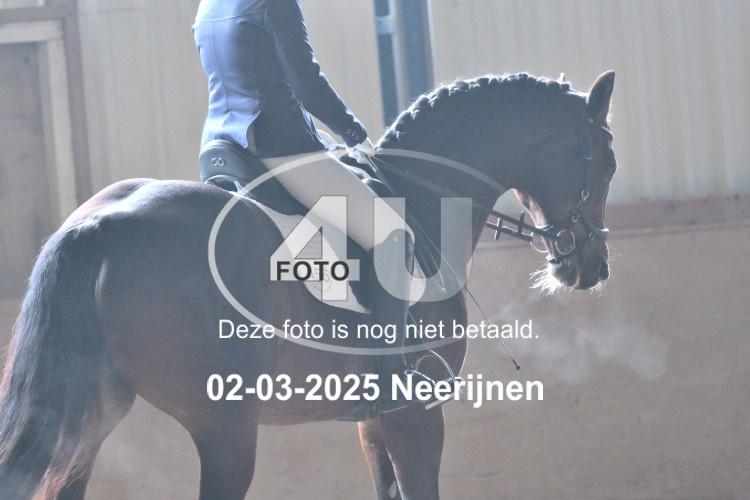 250302 0447