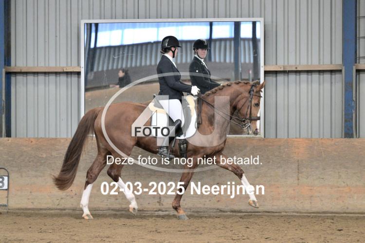 250302 0461