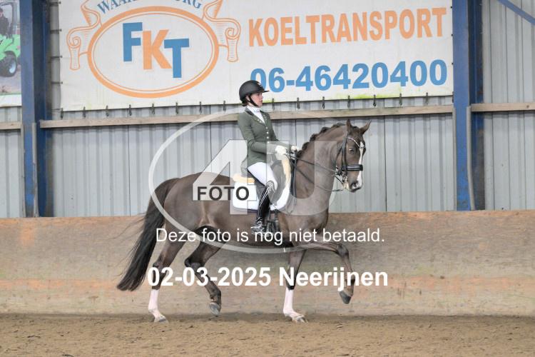 250302 0561