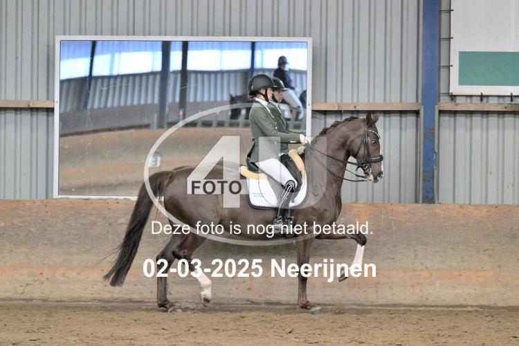 250302 0565