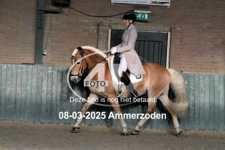 250308 0172