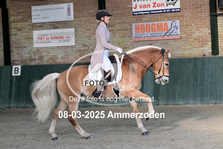 250308 0193