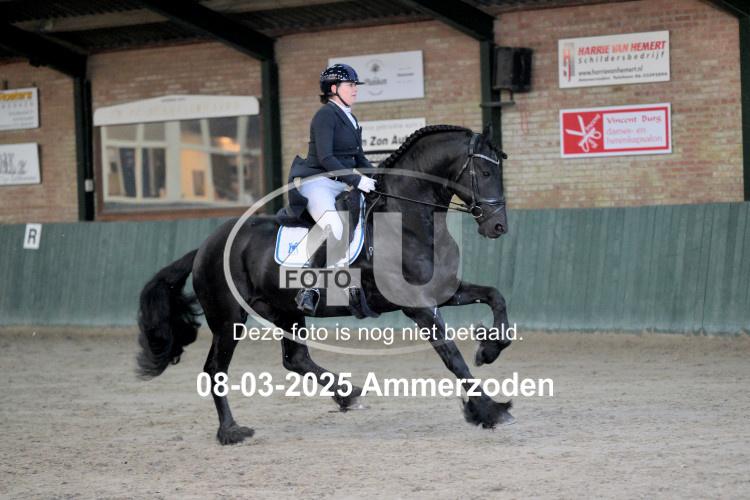 250308 0241