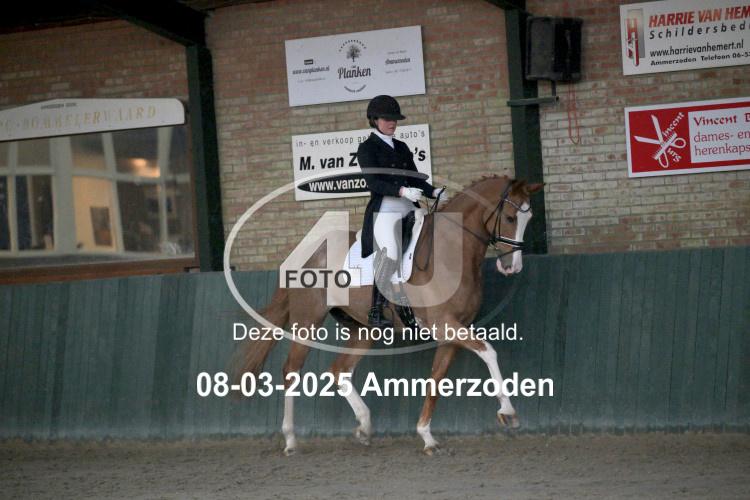 250308 0246