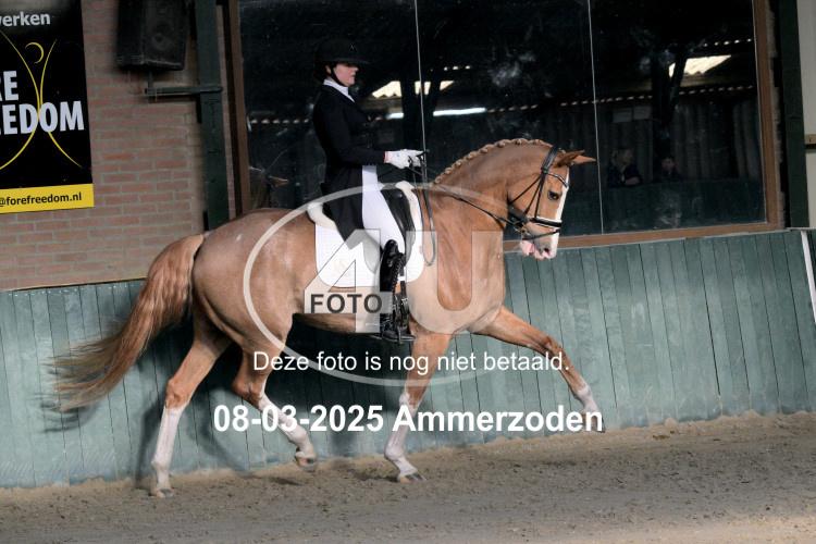 250308 0253