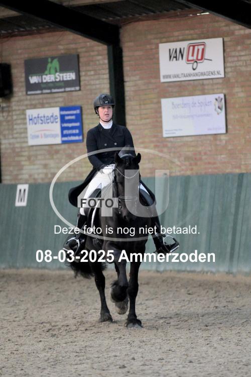 250308 0339