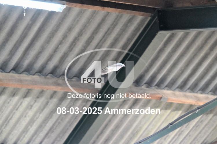 250308 0369