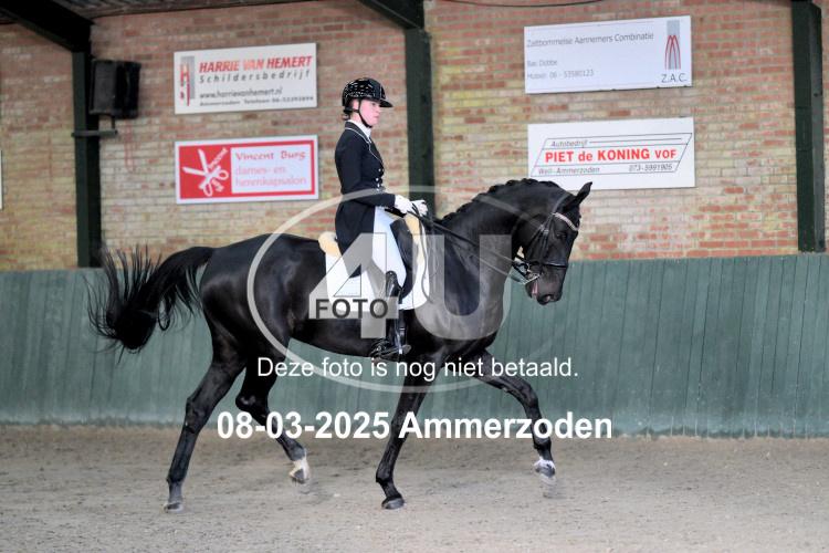 250308 0423