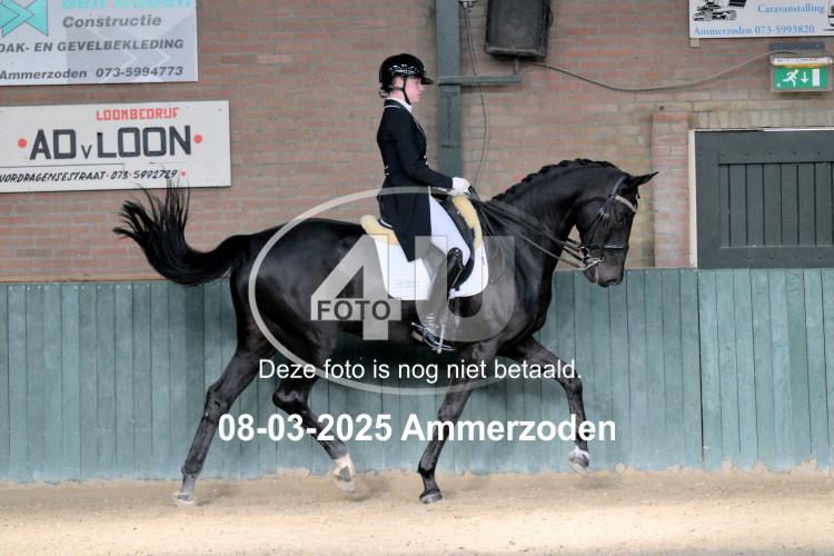 250308 0425