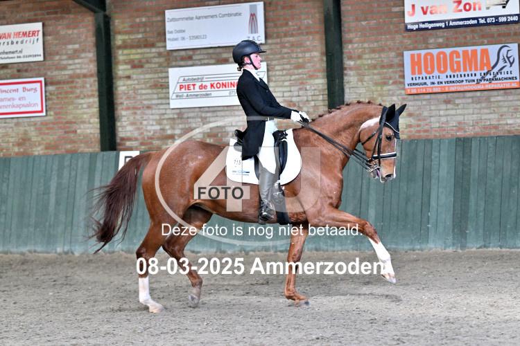 250308 0661