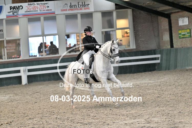 250308 0774