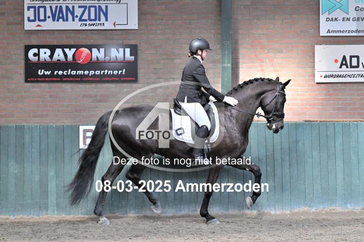 250308 0841