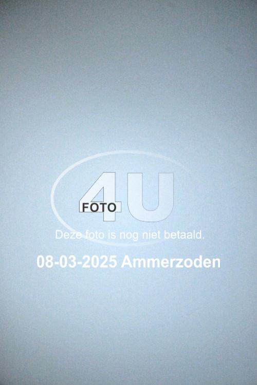 250308 0981