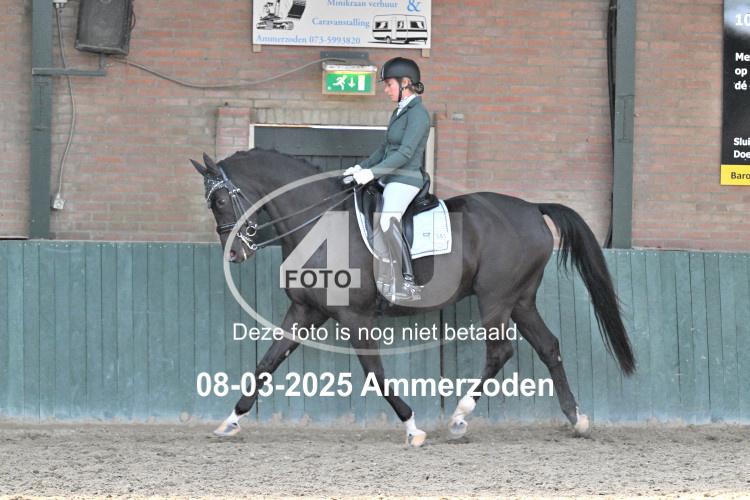 250308 1564