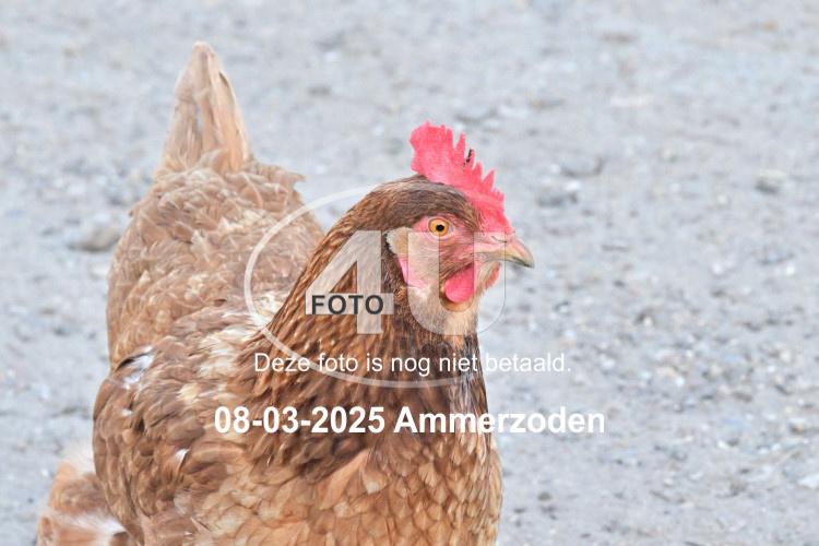 250308 1930