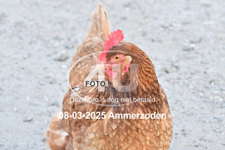250308 1932