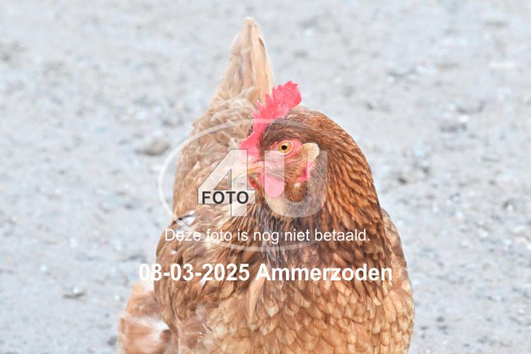 250308 1933