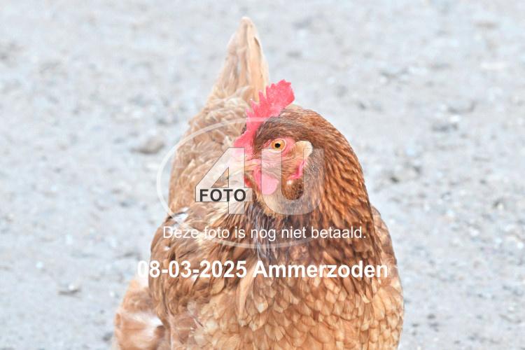 250308 1934