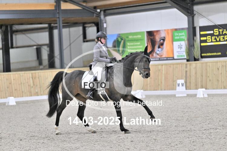 250314 1141