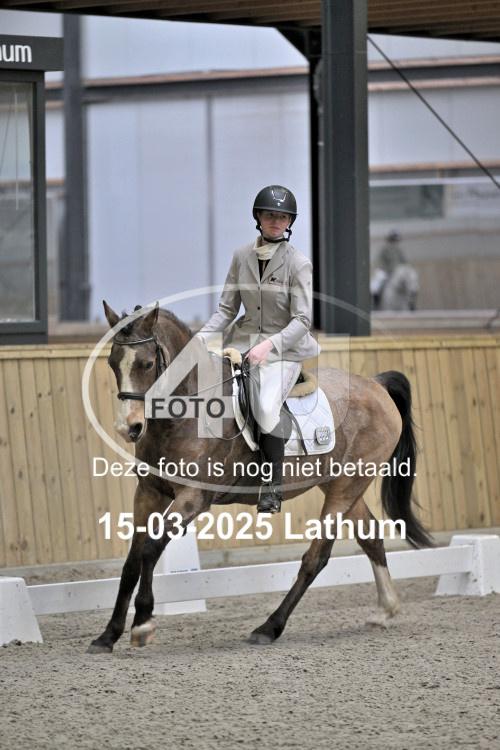 250315 0881