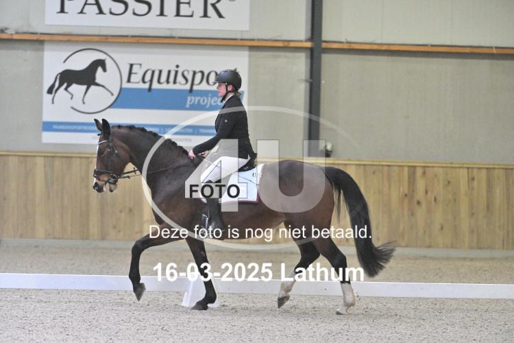 250316 0046
