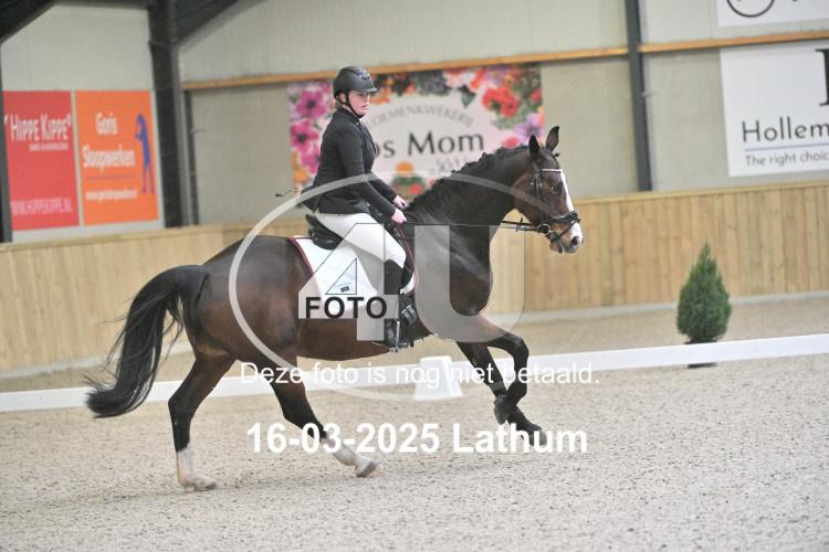 250316 0146