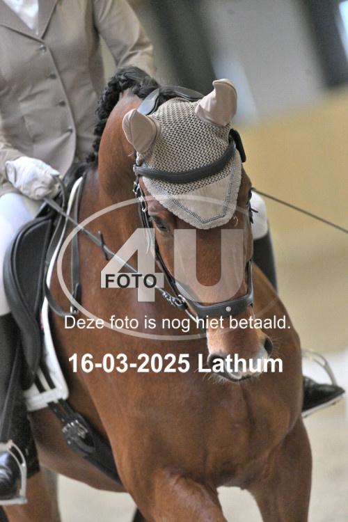 250316 0239